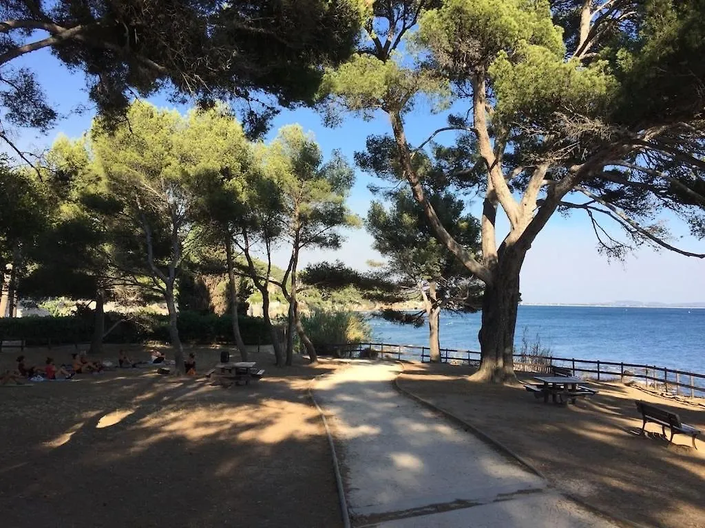 Villa Avec Piscine Pres Des Plages Carqueiranne